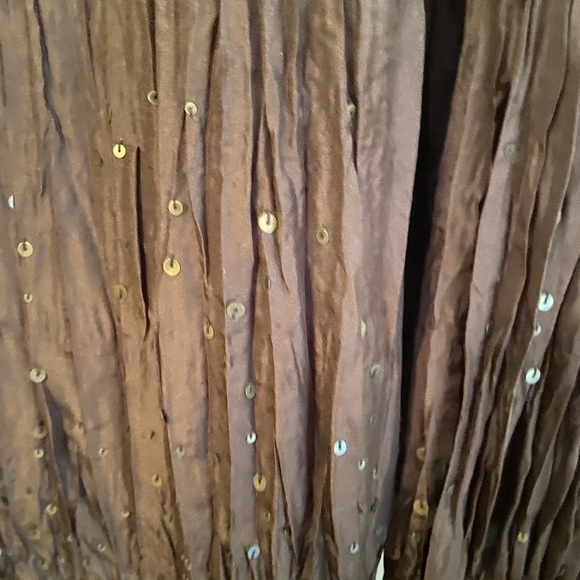 TALBOTS SILK SKIRT/RICH DARK BROWN/Sequin & bead accents/NEVER WORN W TAGS - Picture 4 of 8
